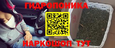трава Усть-Илимск