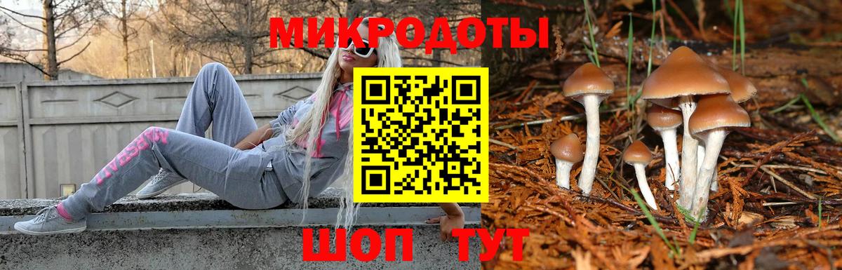 Галлюциногенные грибы Magic Shrooms  Вход с VPN  Галлюциногенные грибы Magic Shrooms  Верхний Уфалей 